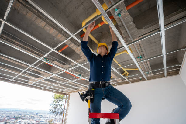 Best Affordable Plumbing Services  in Aiea, HI